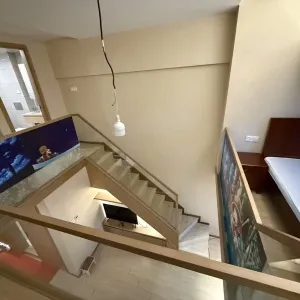 Zhegang International