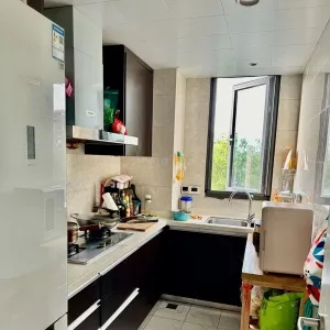 Green Town Yang Liu Jun