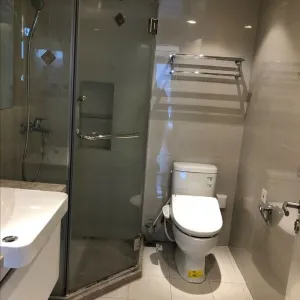 Green Town Yang Liu Jun