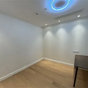 Dark Blue International Center