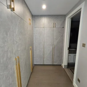 Dark Blue International Center