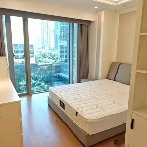 Dark Blue International Center