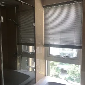 Tian Yang Wu Lin Mansion