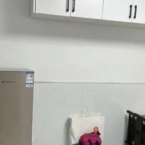 Gudang Xincun Dongqu