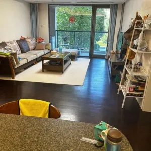 Green Town Yang Liu Jun