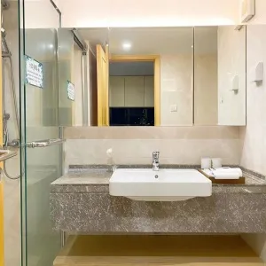 Sanhua International