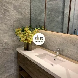 Shi Bao International