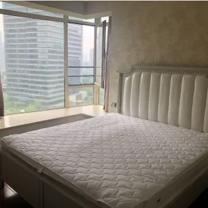 New City International