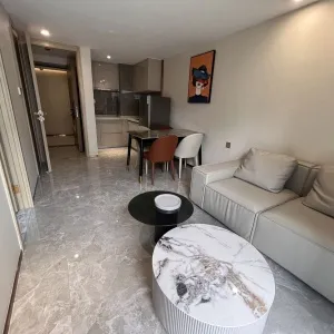 Zhong Nan Furture In 