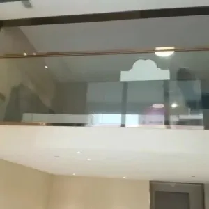 Zhong Nan Furture In 