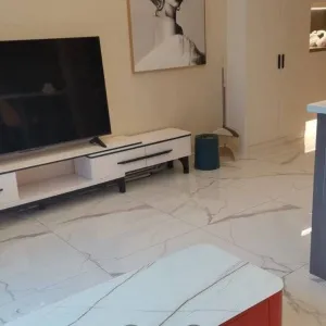 Dark Blue International Center