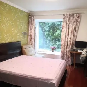 New City International