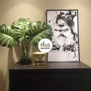 Shi Bao International