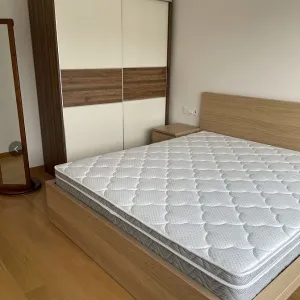 Green Town Yang Liu Jun