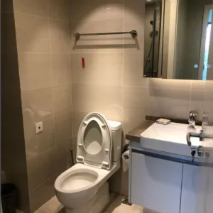 Green Town Yang Liu Jun