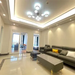 Dark Blue International Center