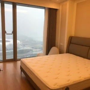 Dark Blue International Center