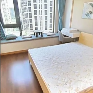 Green Town Yang Liu Jun