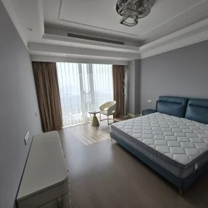 Dark Blue International Center