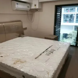 Zhong Nan Furture In 