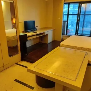 Jiang Jin International