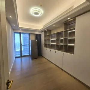 Dark Blue International Center