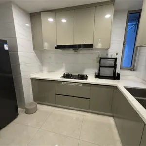 Dark Blue International Center