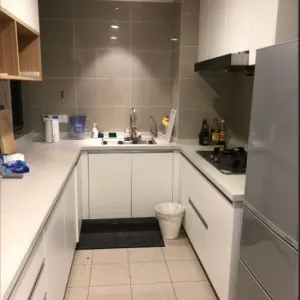 Green Town Yang Liu Jun