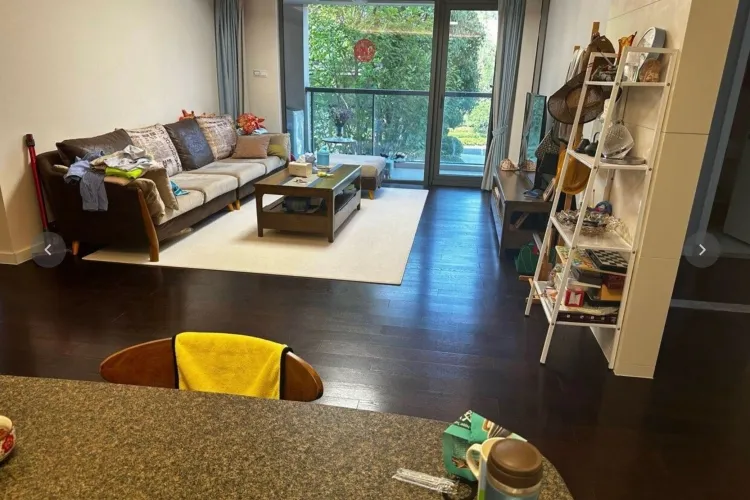 Green Town Yang Liu Jun