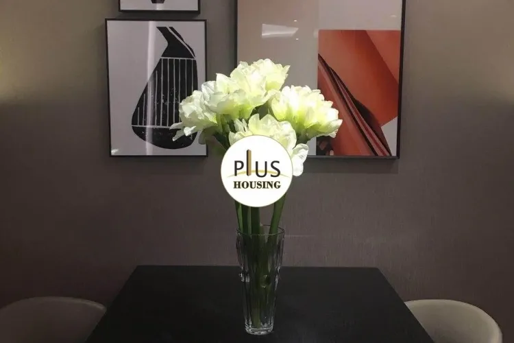 Shi Bao International