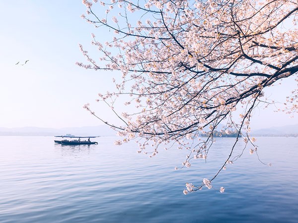 A serene view of West Lake in Hangzhou during spring