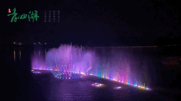 Qingshan Lake Flyboard Experience