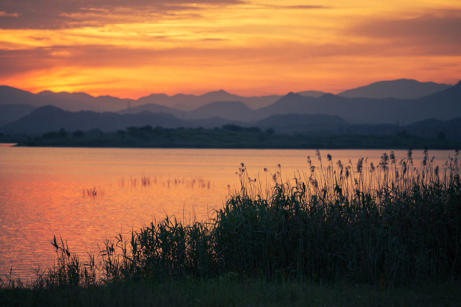 Qiandao Lake Island Landscape