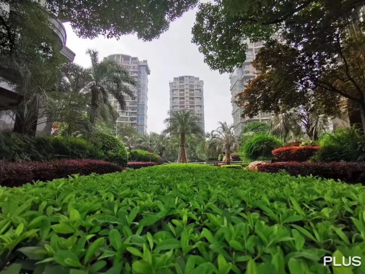 The Dreamland - Photo 47