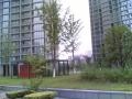 Beyond City