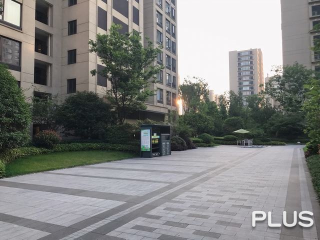 The Honor of City