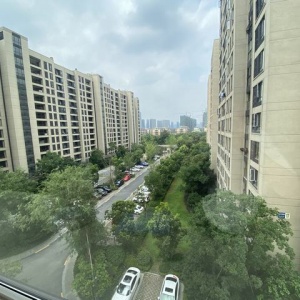 The Honor of City