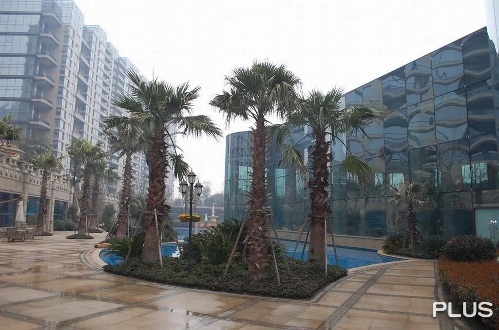 Sunshine Coast - Photo 9