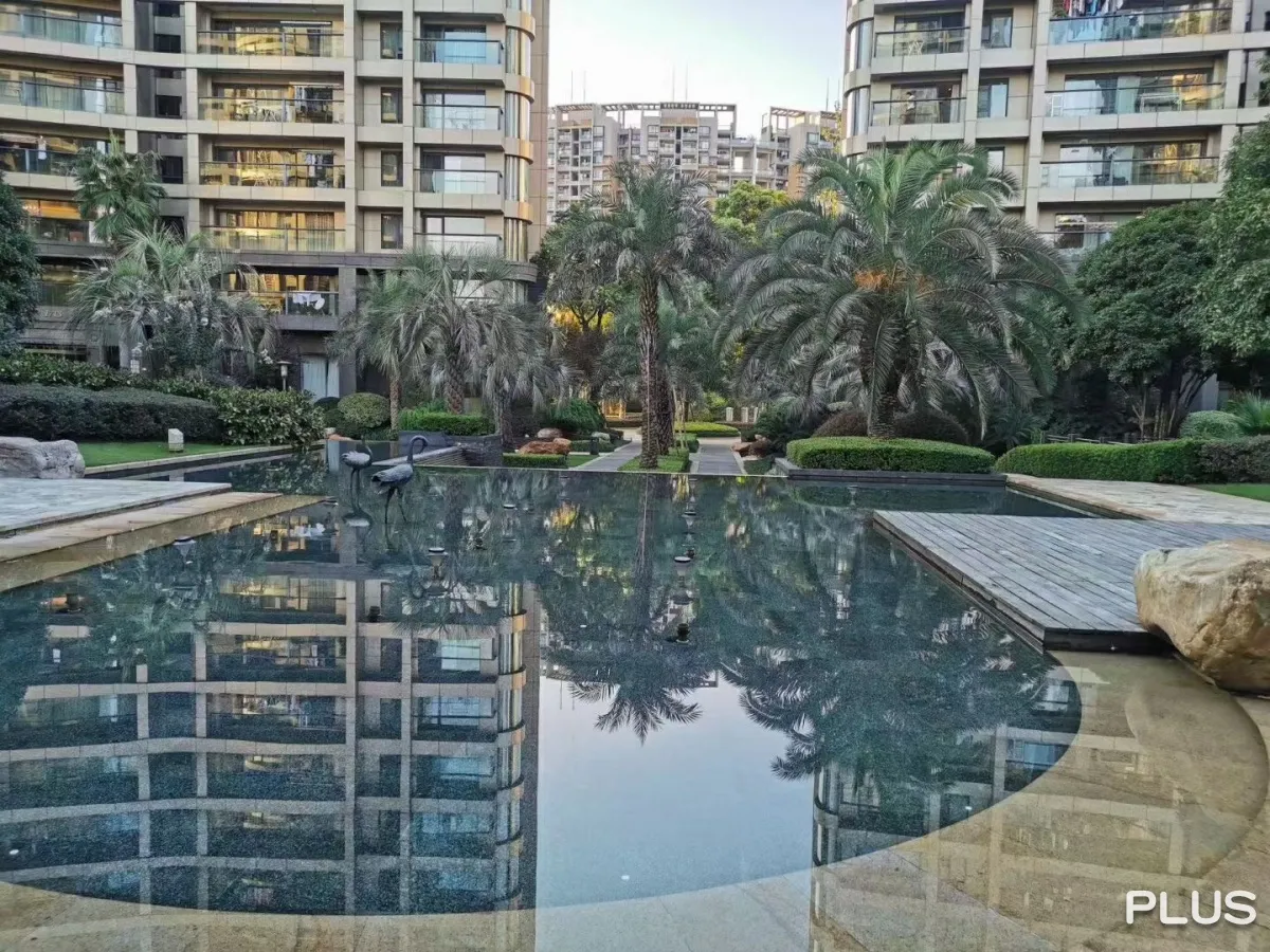 The Dreamland - Photo 44