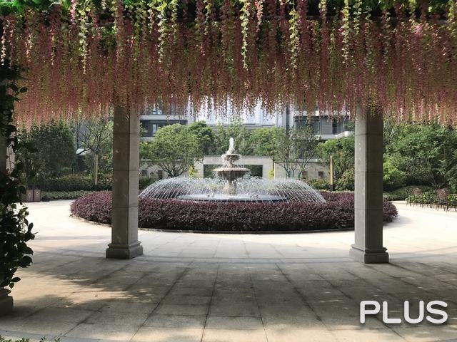 Country Garden