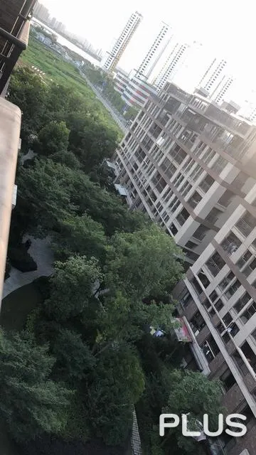 Pu Yue Bay - Photo 23