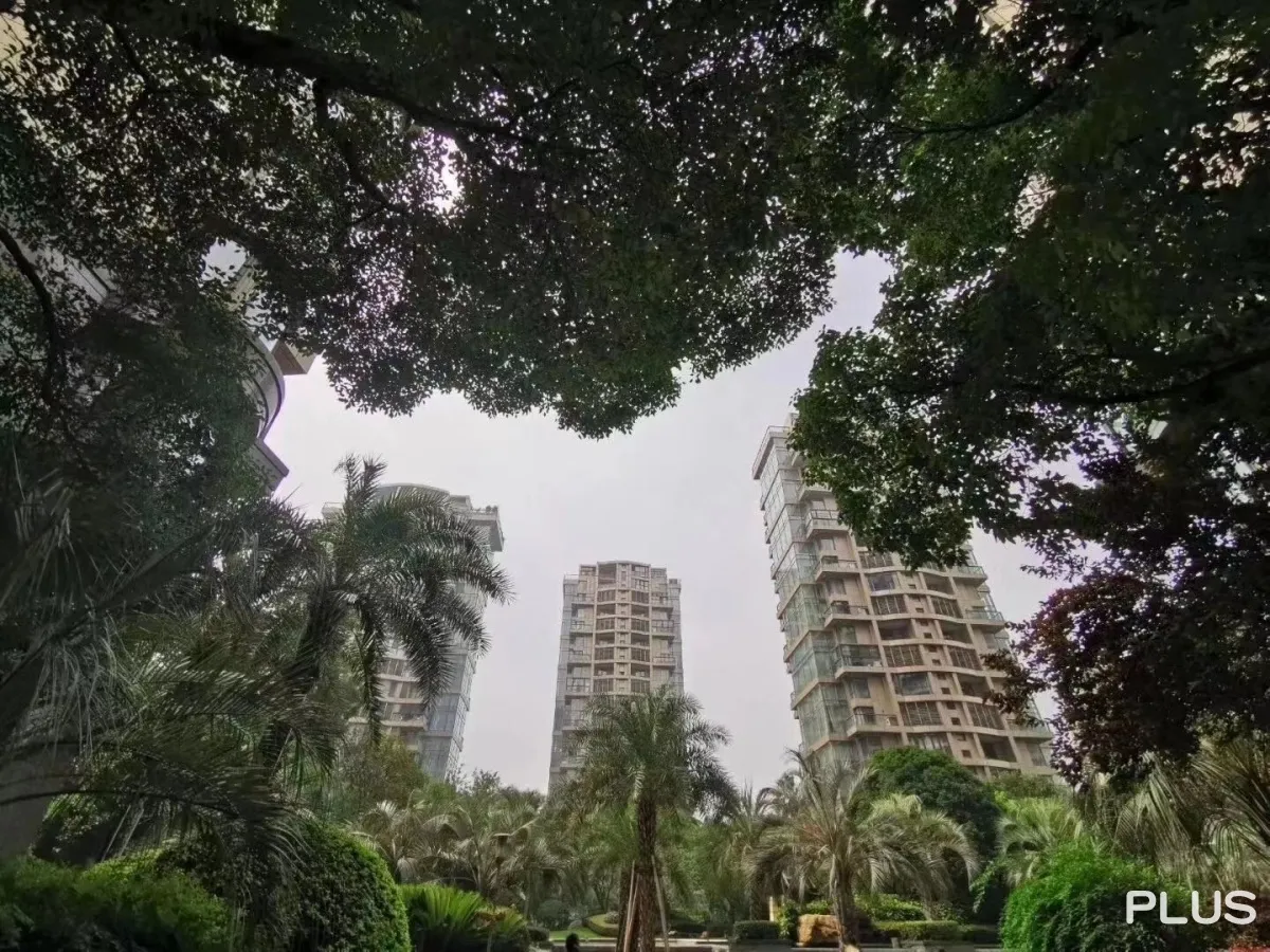 The Dreamland - Photo 37