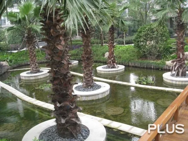 Wisdom World - Photo 36