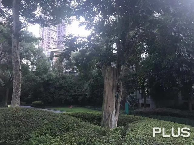 Hetian Fashion City - Photo 25