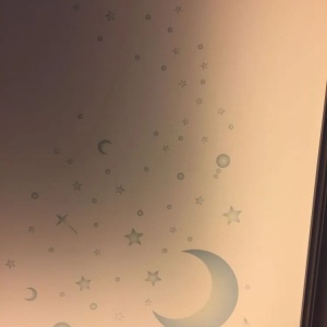 Thumbnail 28