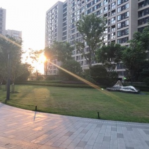The Honor of City