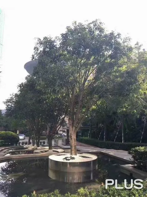 The Mixc Apartment - Photo 25