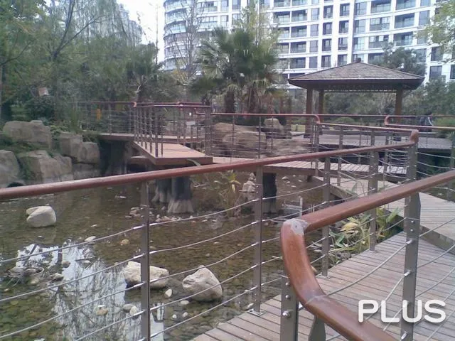 Wisdom World - Photo 33