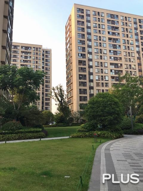 The Honor of City