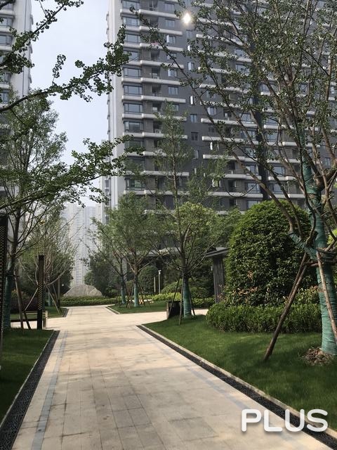 Country Garden